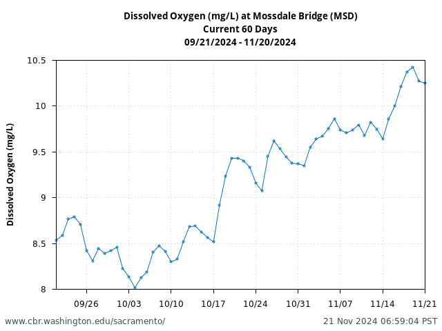 Plot of 60 Days current conditions Dissolved Oxygen (mg/L) at Mossdale Bridge (MSD)