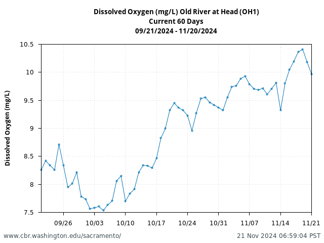 Plot of 60 Days current conditions Dissolved Oxygen (mg/L) Old River at Head (OH1)