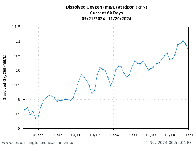 Plot of 60 Days current conditions Dissolved Oxygen (mg/L) at Ripon (RPN)