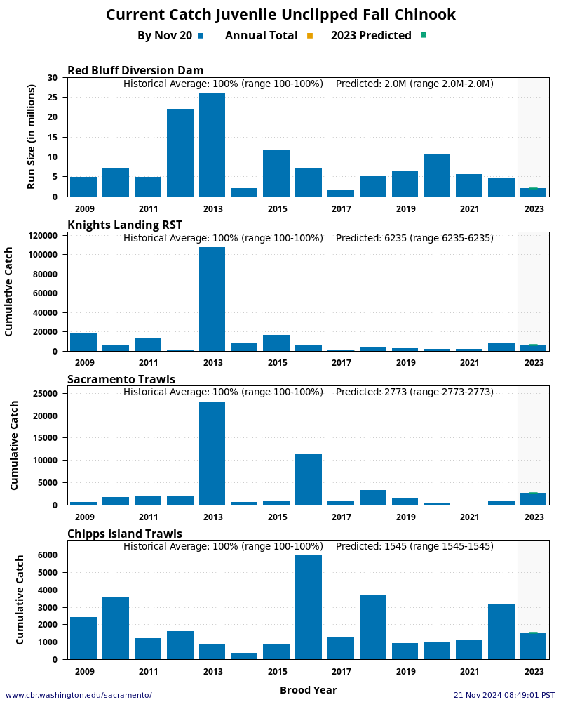 graph Current Catch Juvenile Unclipped Fall Chinook 15 Years Historical and Current Year at four Sacramento River locations: Red Bluff Diversion Dam, Knights Landing, Sacramento Trawls, and Chipps Island Trawls