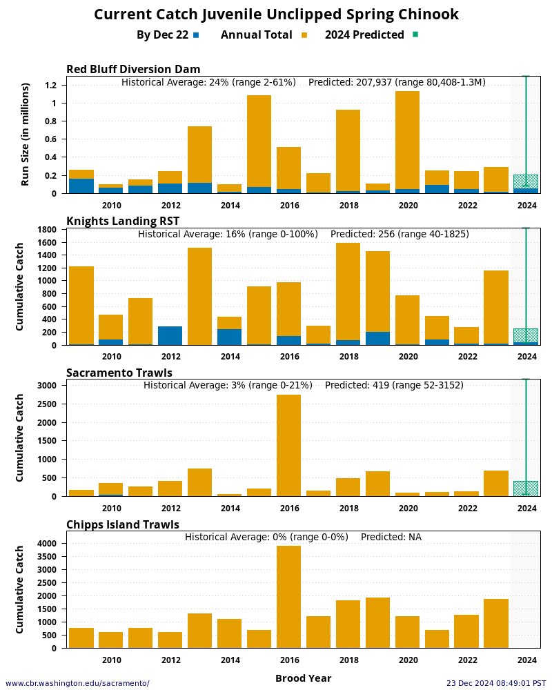 graph Current Catch Juvenile Unclipped Spring Chinook 15 Years Historical and Current Year at four Sacramento River locations: Red Bluff Diversion Dam, Knights Landing, Sacramento Trawls, and Chipps Island Trawls