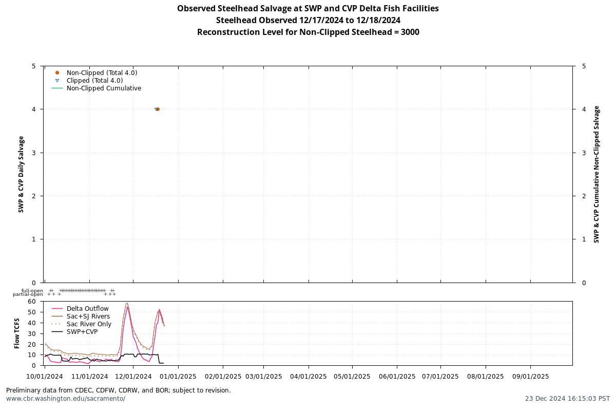 plot Observed Steelhead Salvage at SWP and CVP Delta Fish Facilities, Steelhead Observed 12/17/2024 to 12/18/2024, Reconstruction Level for Non-Clipped Steelhead = 3000