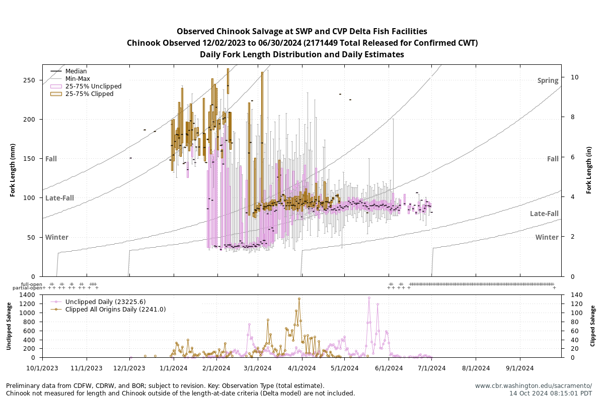 plot Observed Chinook Salvage at SWP and CVP Delta Fish Facilities, Chinook Observed 10/1/2024 to 9/30/2025 Daily Fork Length and Estimates