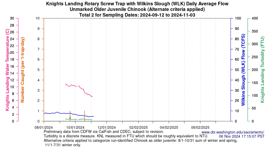 plot Central Valley Juvenile Salmonid Monitoring Knights Landing Rotary Screw Trap with Wilkins Slough (WLK) Daily Average Flow Unmarked Older Juvenile Chinook Sampling Dates 2024-09-12 to 2024-11-03