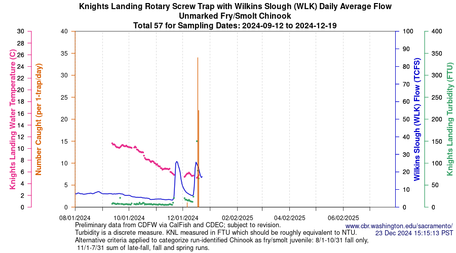 plot Central Valley Juvenile Salmonid Monitoring Knights Landing Rotary Screw Trap with Wilkins Slough (WLK) Daily Average Flow Unmarked Fry/Smolt Chinook Sampling Dates 2024-09-12 to 2024-12-19