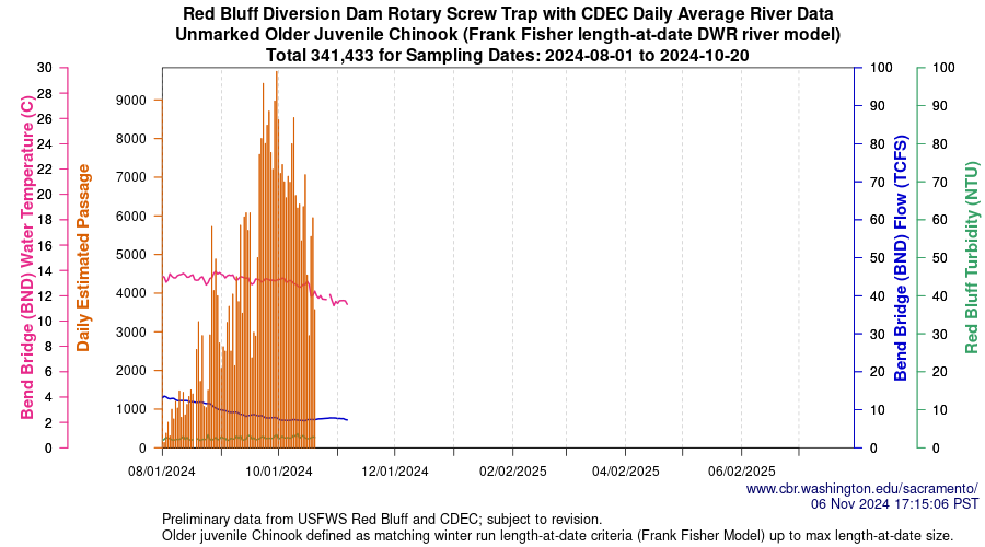 plot Central Valley Juvenile Salmonid Monitoring Red Bluff Diversion Dam Rotary Screw Trap with CDEC Daily Average River Data Unmarked Older Juvenile Chinook Sampling Dates 2024-08-01 to 2024-10-20