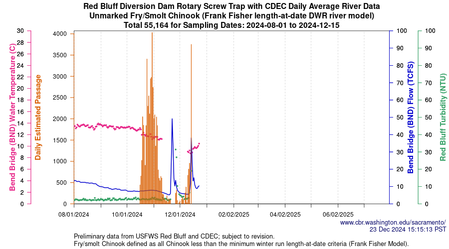 plot Central Valley Juvenile Salmonid Monitoring Red Bluff Diversion Dam Rotary Screw Trap with CDEC Daily Average River Data Unmarked Fry/Smolt Chinook Sampling Dates 2024-08-01 to 2024-12-15