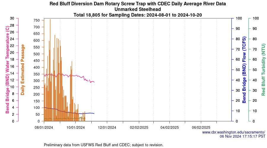 plot Central Valley Juvenile Salmonid Monitoring Red Bluff Diversion Dam Rotary Screw Trap with CDEC Daily Average River Data Unmarked Steelhead Sampling Dates 2024-08-01 to 2024-10-20