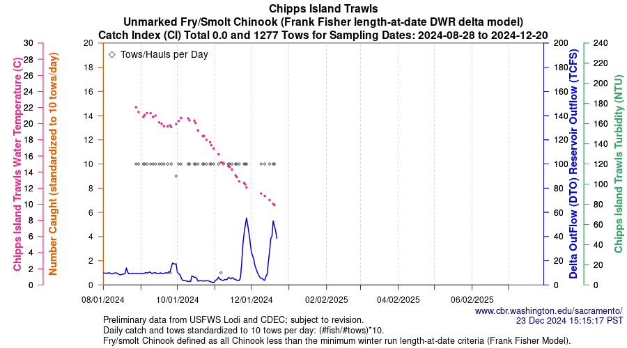 plot Central Valley Juvenile Salmonid Monitoring Chipps Island Trawls Unmarked Fry/Smolt Chinook Sampling Dates 2024-08-28 to 2024-12-20