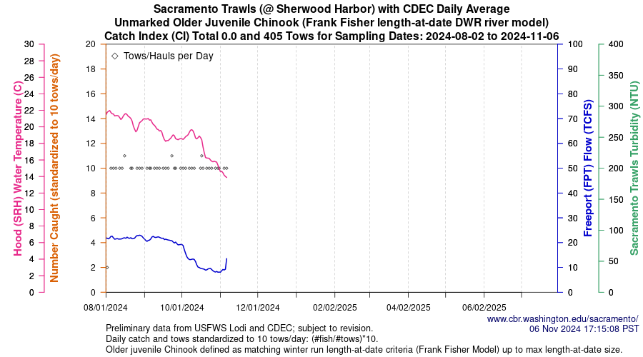 plot Central Valley Juvenile Salmonid Monitoring Sacramento Trawls (@ Sherwood Harbor) with CDEC Daily Average Unmarked Older Juvenile Chinook Sampling Dates 2024-08-02 to 2024-11-06