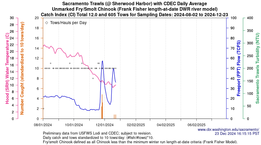 plot Central Valley Juvenile Salmonid Monitoring Sacramento Trawls (@ Sherwood Harbor) with CDEC Daily Average Unmarked Fry/Smolt Chinook Sampling Dates 2024-08-02 to 2024-12-20