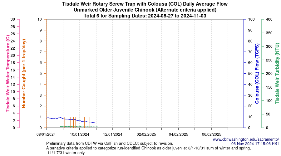 plot Central Valley Juvenile Salmonid Monitoring Tisdale Weir Rotary Screw Trap with Colousa (COL) Daily Average Flow Unmarked Older Juvenile Chinook Sampling Dates 2024-08-27 to 2024-11-03