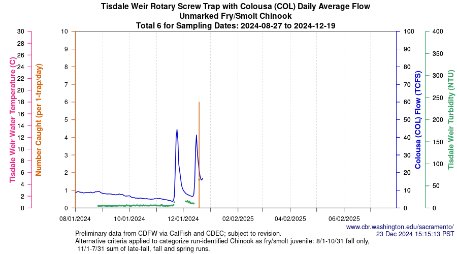 plot Central Valley Juvenile Salmonid Monitoring Tisdale Weir Rotary Screw Trap with Colousa (COL) Daily Average Flow Unmarked Fry/Smolt Chinook Sampling Dates 2024-08-27 to 2024-12-19