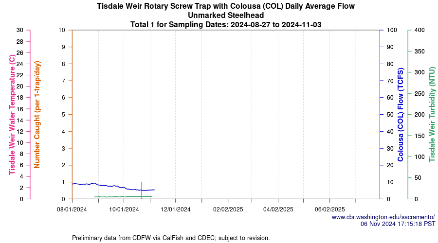 plot Central Valley Juvenile Salmonid Monitoring Tisdale Weir Rotary Screw Trap with Colousa (COL) Daily Average Flow Unmarked Steelhead Sampling Dates 2024-08-27 to 2024-11-03