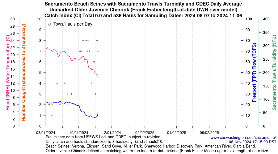 plot Central Valley Juvenile Salmonid Monitoring Verona, Elkhorn, Sand Cove, Miller Park, Sherwood Harbor, Discovery Park, American River, and Garcia Bend Beach Seines Unmarked Older Juvenile Chinook Sampling Dates 2024-08-07 to 2024-11-06