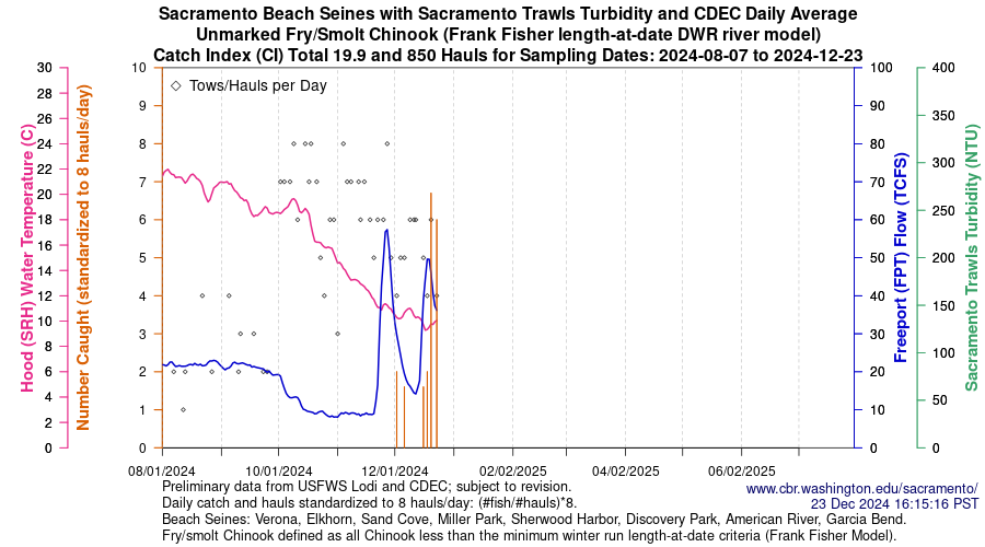 plot Central Valley Juvenile Salmonid Monitoring Verona, Elkhorn, Sand Cove, Miller Park, Sherwood Harbor, Discovery Park, American River, and Garcia Bend Beach Seines Unmarked Fry/Smolt Chinook Sampling Dates 2024-08-07 to 2024-12-20