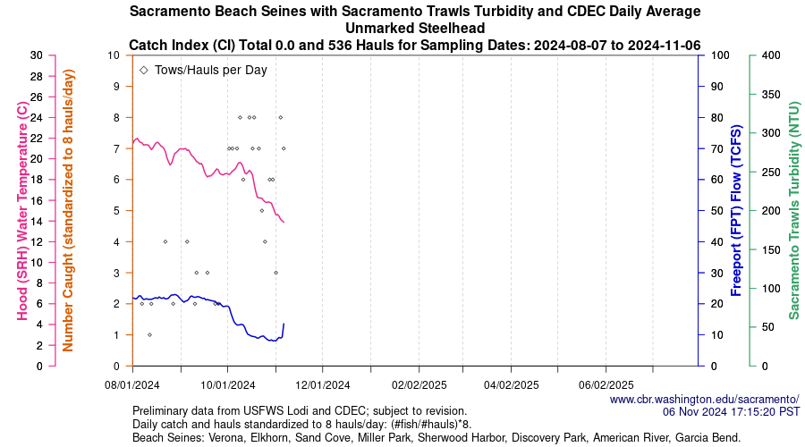 plot Central Valley Juvenile Salmonid Monitoring Verona, Elkhorn, Sand Cove, Miller Park, Sherwood Harbor, Discovery Park, American River, and Garcia Bend Beach Seines Unmarked Steelhead Sampling Dates 2024-08-07 to 2024-11-06