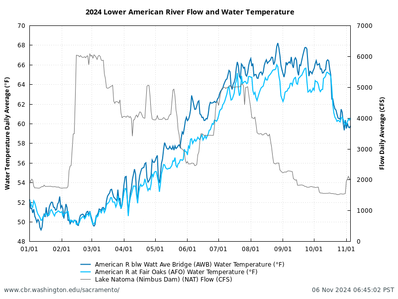 Line chart for 2024 Lower American River daily average flow at Lake Natoma Nimbus Dam (NAT) and water temperatures, below Watt Ave Bridge (AWB), and at Fair Oaks (AFO). Water temperatures (in degrees Fahrenheit) and flow in cubic feet per second (CFS). Data retrieved from CDEC; figure generated by SacPAS.