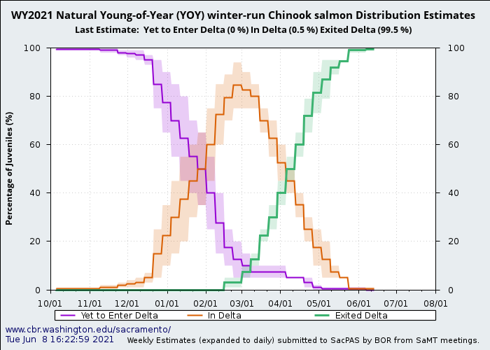 graph natural young of year yoy winter-run Chinook salmon distribution estimates