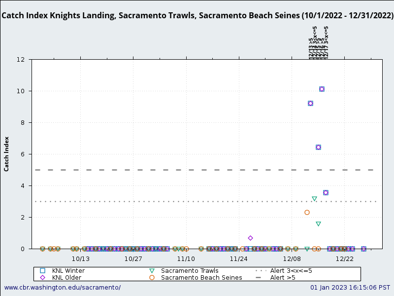 graphic Catch Index Knights Landing, Sacramento Trawls, Sacramento Beach Seines (10/1/2022 - 12/31/2022)