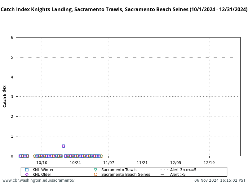 graphic Catch Index Knights Landing, Sacramento Trawls, Sacramento Beach Seines (10/1/2024 - 12/31/2024)